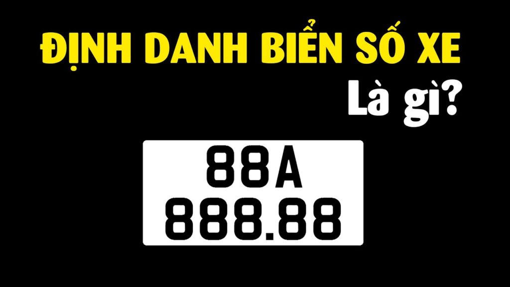 Biển số định danh là gì?
