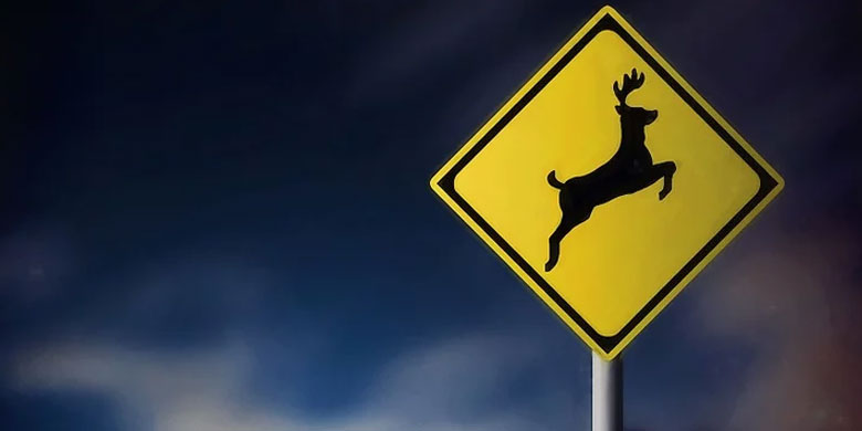 Biển báo có động vật