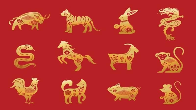 Năm tuổi có nên mua xe